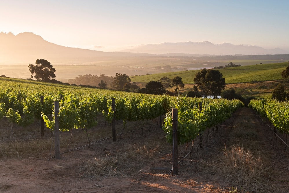 Boschkloof