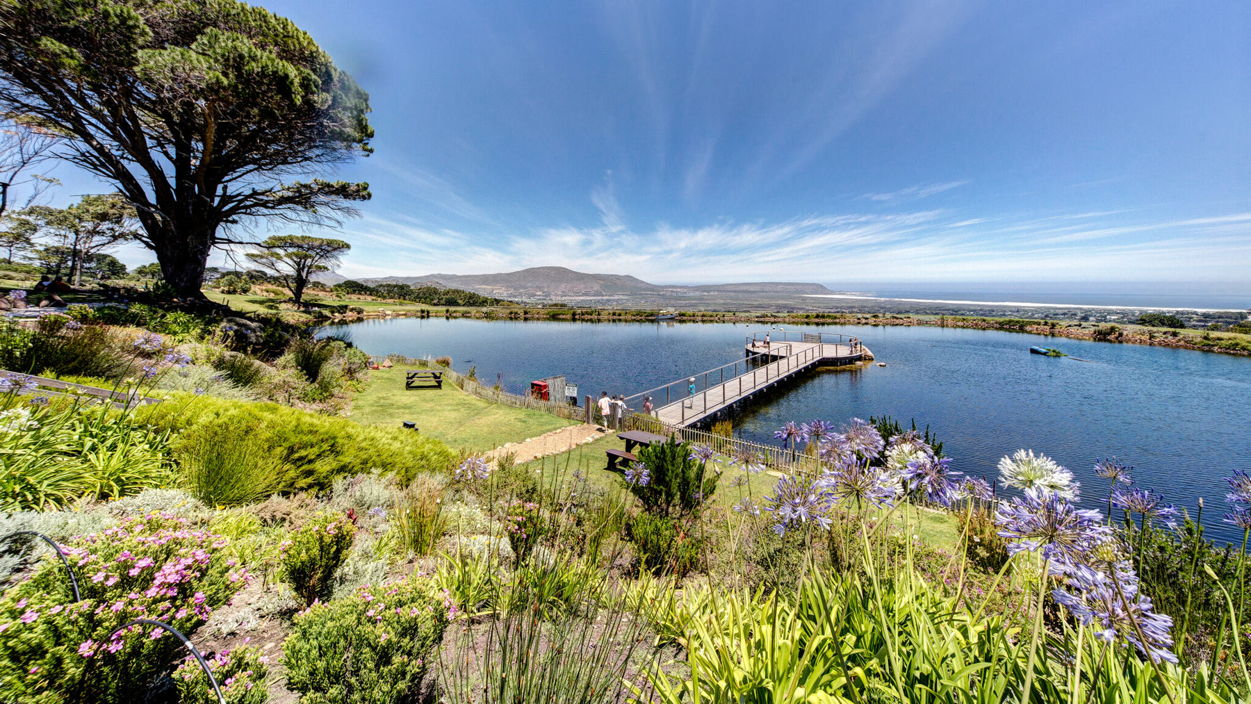 Cape Point Vineyards