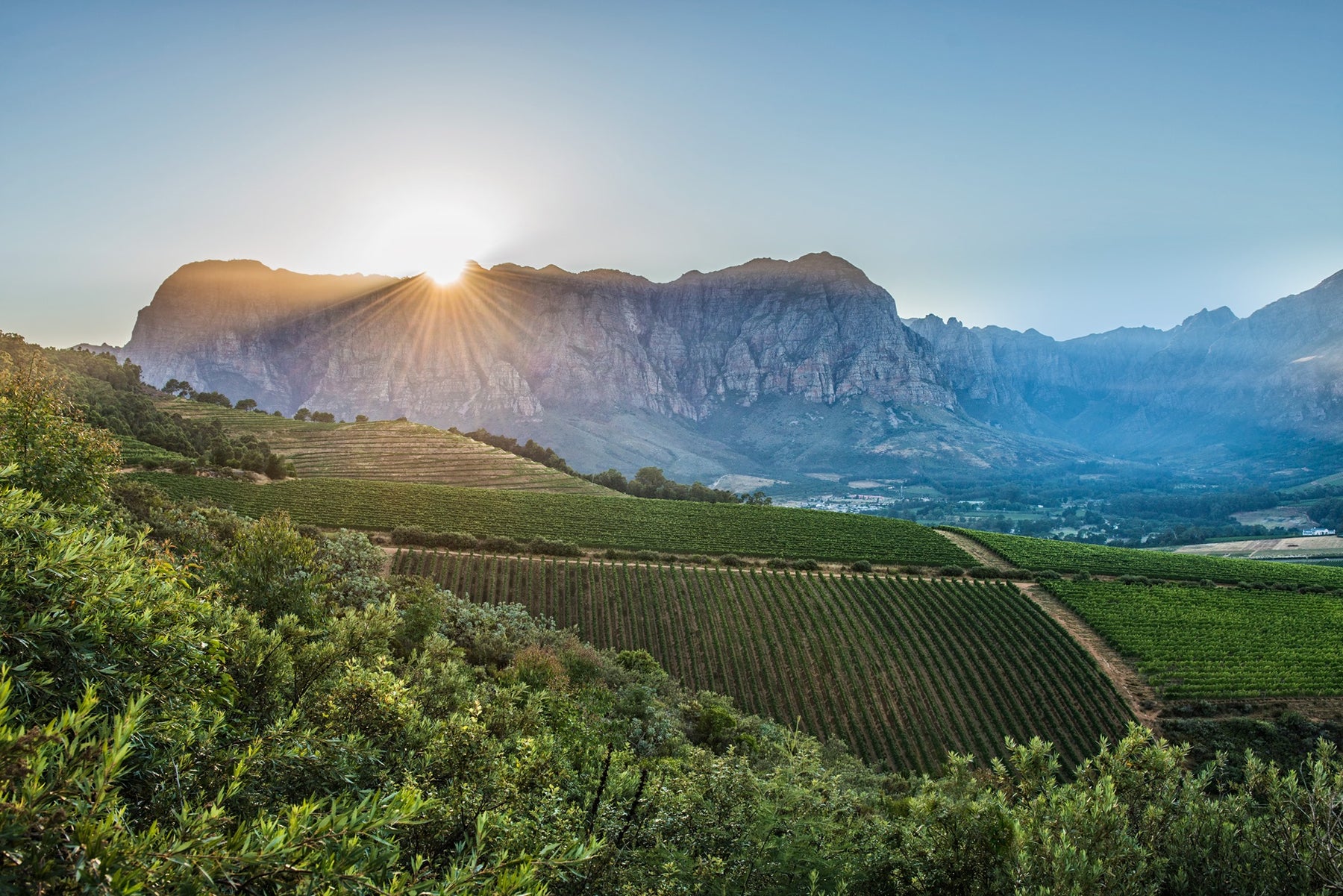 Thelema Mountain Vineyards