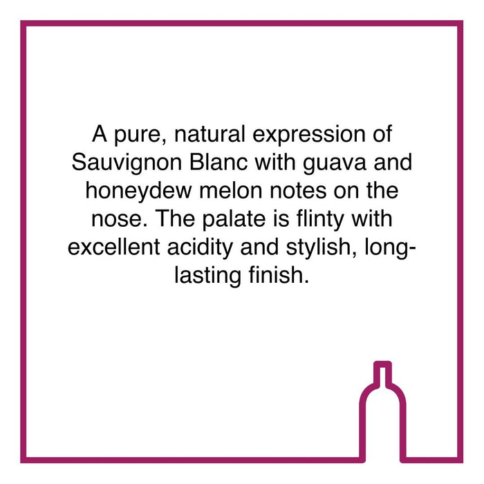 Case of Vergelegen Wild Winds Sauvignon Blanc