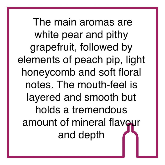 Case of Waterford Old Vine Project Chenin Blanc