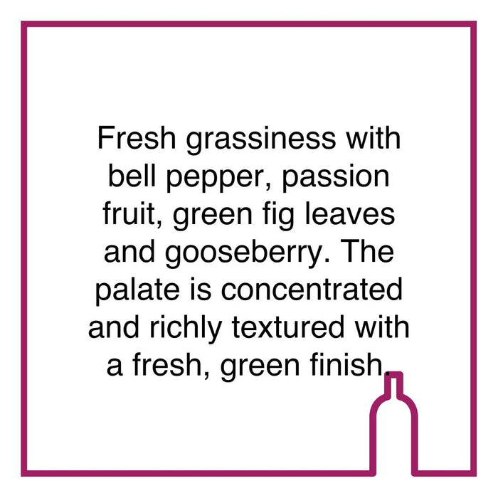 Case of Spier 21 Gables Sauvignon Blanc