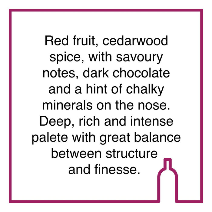 Case of Alto Cabernet Sauvignon