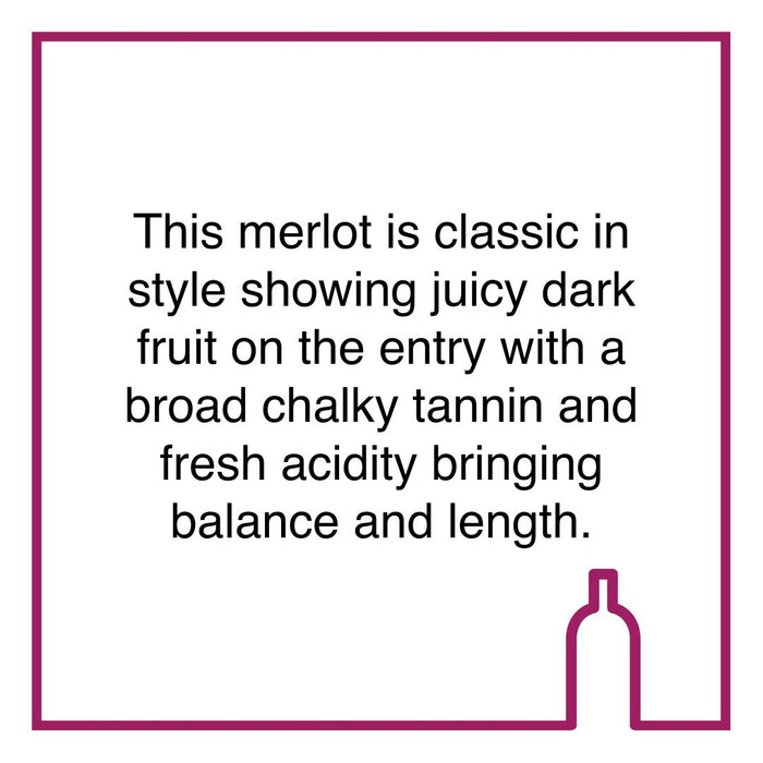 Case of Remhoogte Aspect Merlot