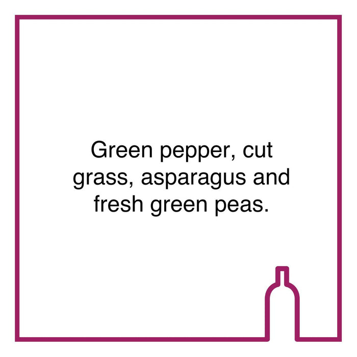 Case of Bruce Jack The Berrio Sauvignon Blanc