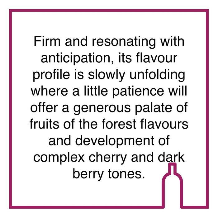 Case of 3 Bouchard Finlayson Galpin Peak Pinot Noir Magnum