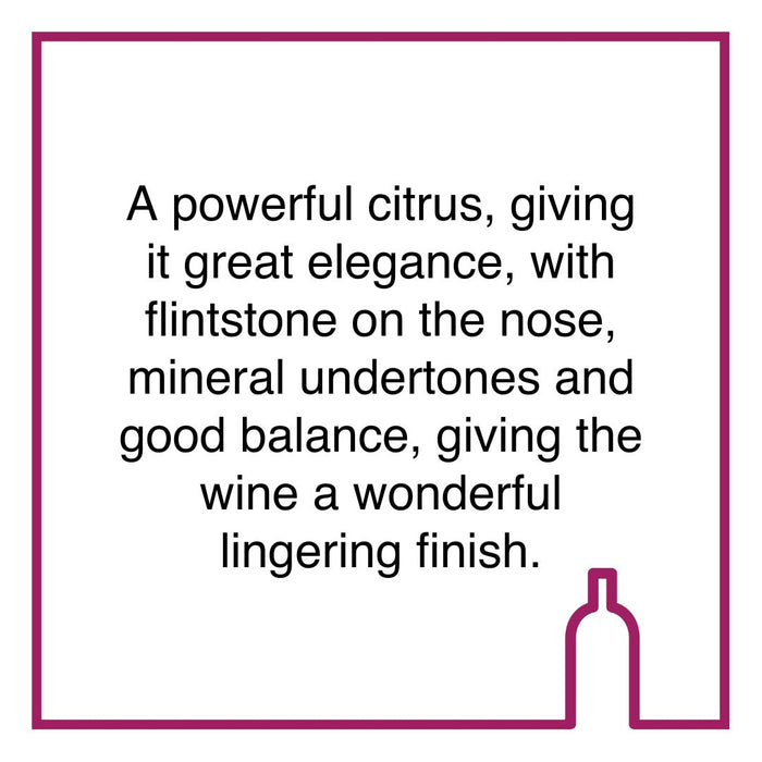 Case of Buitenverwachting Chardonnay