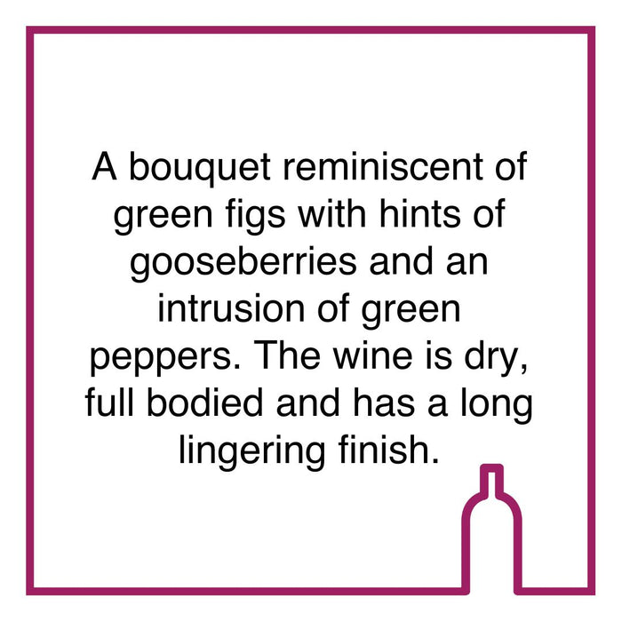 Case of Buitenverwachting Sauvignon Blanc Constantia