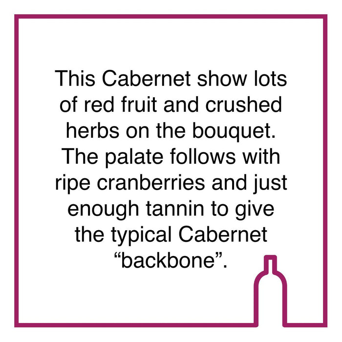 Case of Kleine Zalze Cellar Selection Cabernet Sauvignon