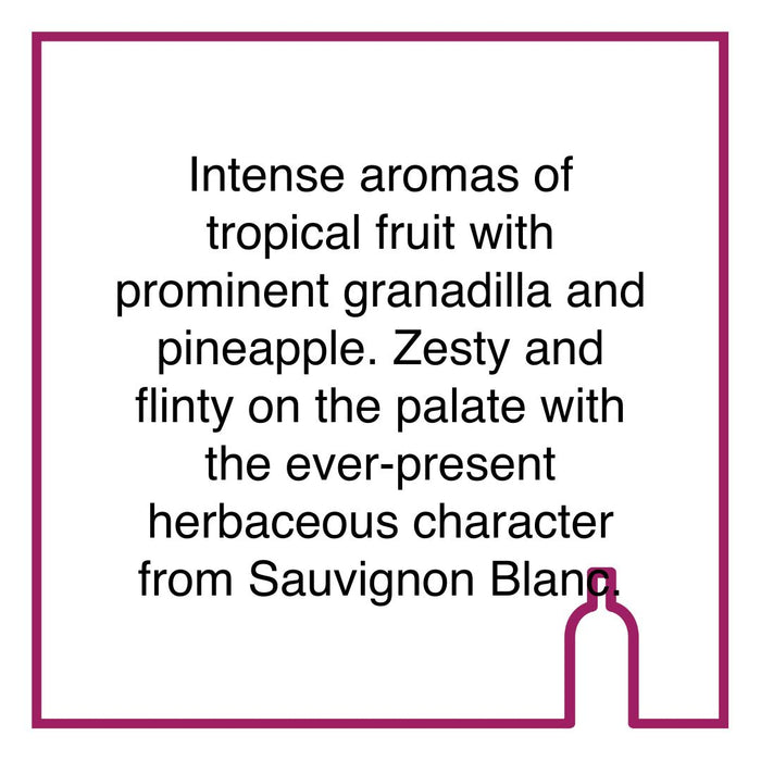 Case of Kleine Zalze Cellar Selection Sauvignon Blanc