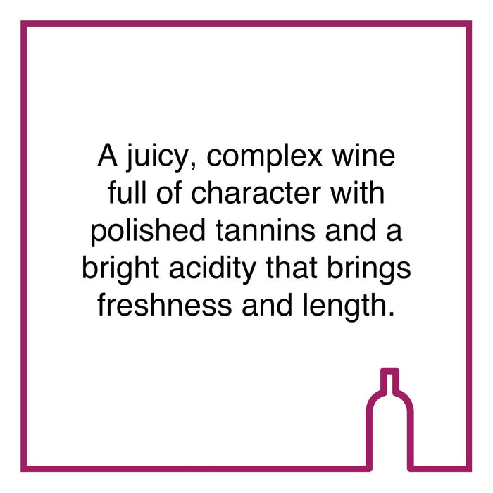 Case of Remhoogte Chronicle Cape Blend