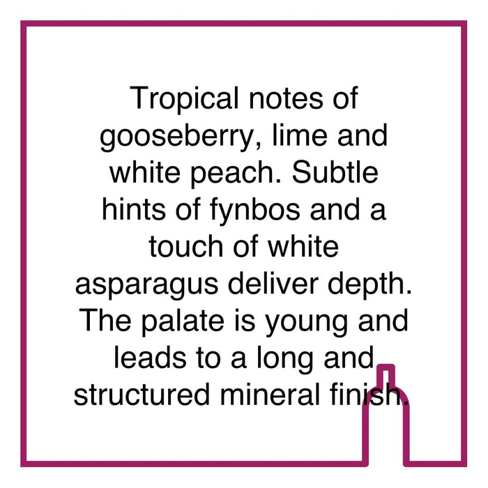 Case of Spier Creative Block 2