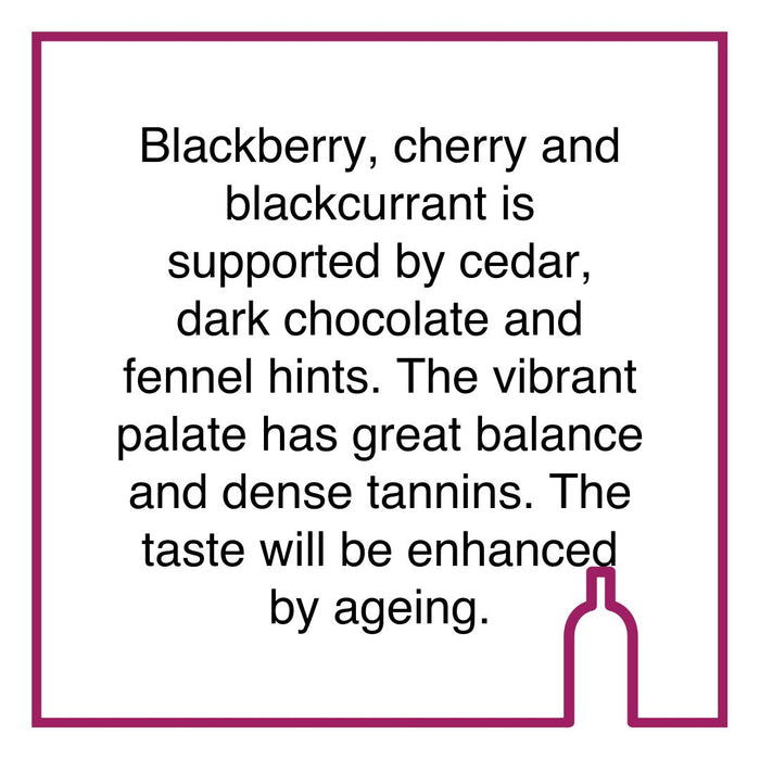 Case of Spier Creative Block 5