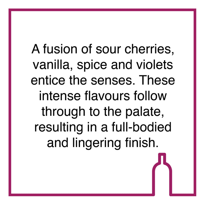 Case of Diemersfontein Shiraz