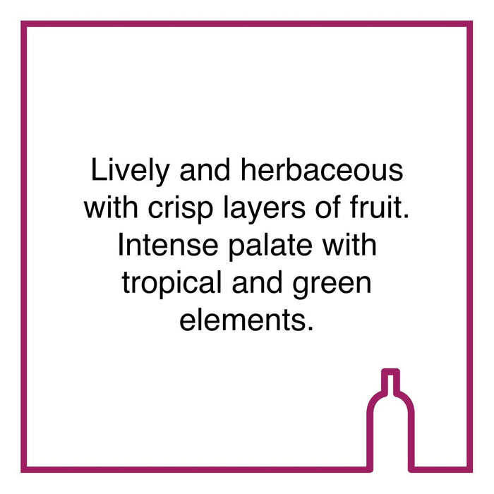 Case of Kleine Zalze Family Reserve Sauvignon Blanc