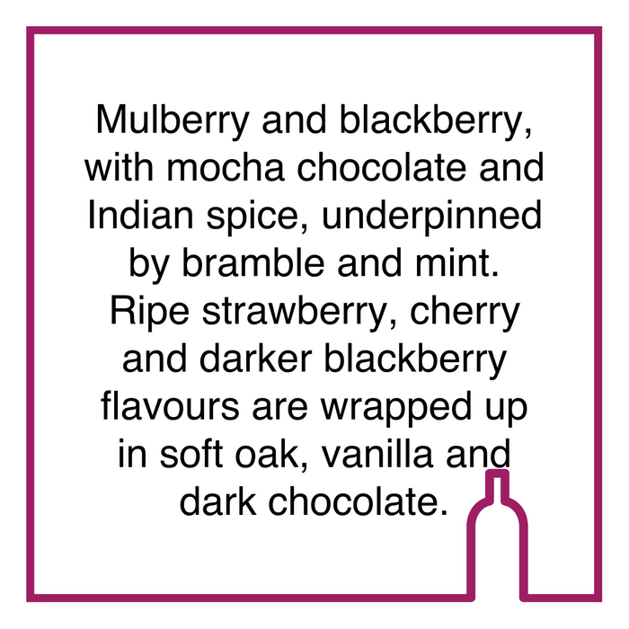 Case of Flagstone Writer's Block Pinotage