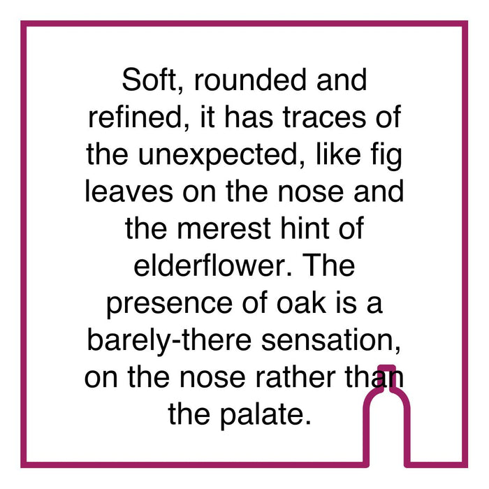 Case of Spier Frans K Smit White Blend