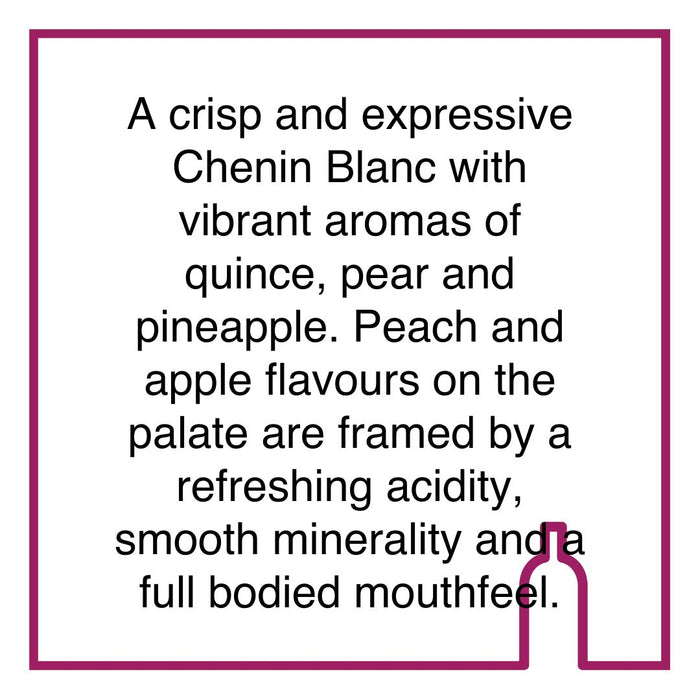 Case of Man Free-run Steen Chenin Blanc