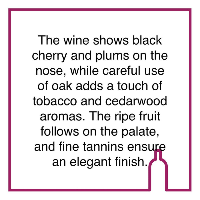 Case of Groot Constantia Merlot