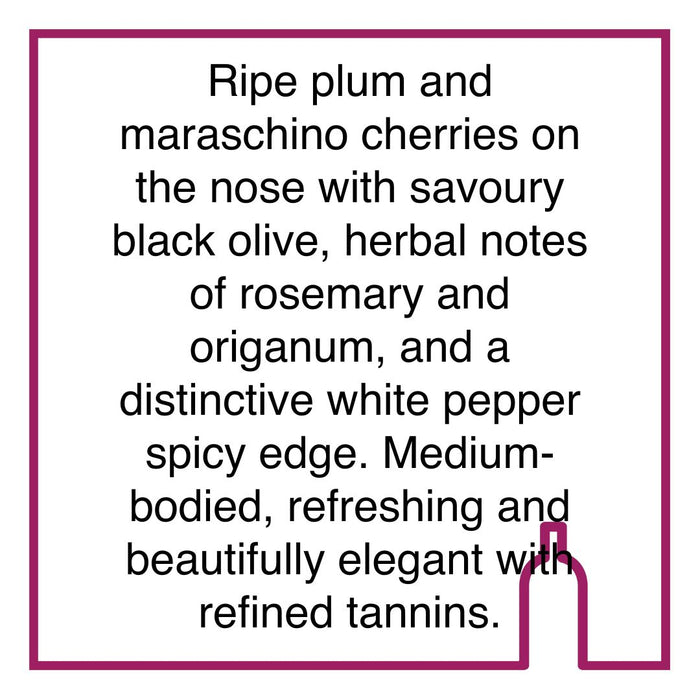 Case of Cederberg Ghost Corner Syrah