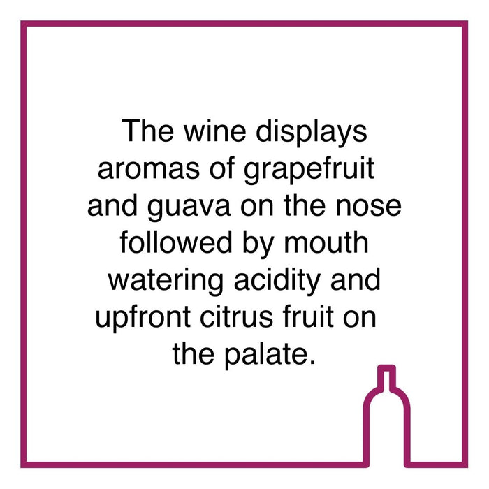 Case of Groote Post Sauvignon Blanc