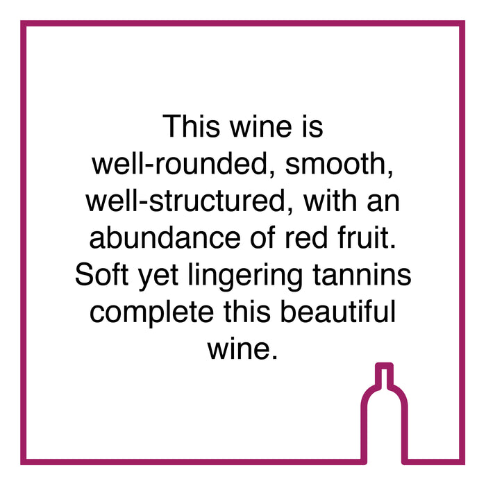 Case of Hoopenburg Bushvine Merlot