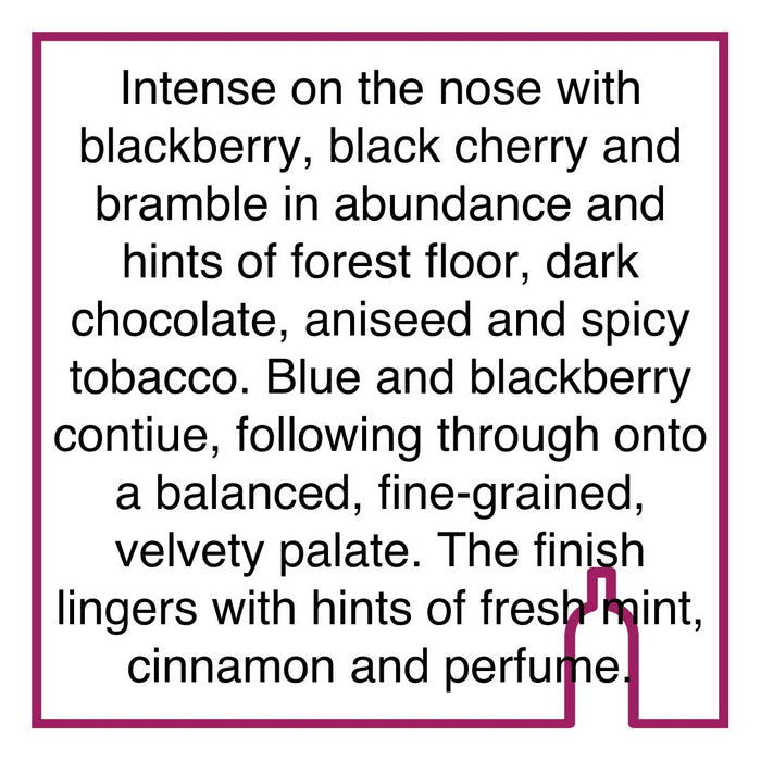 Case of Raats Family Wines Jasper Red Blend