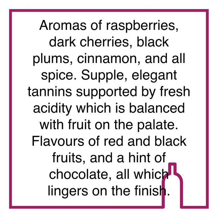 Case of Kanonkop Kadette Cape Blend Magnum