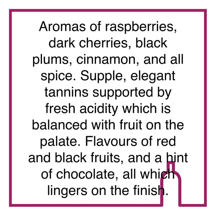 Case of Kanonkop Kadette Cape Blend