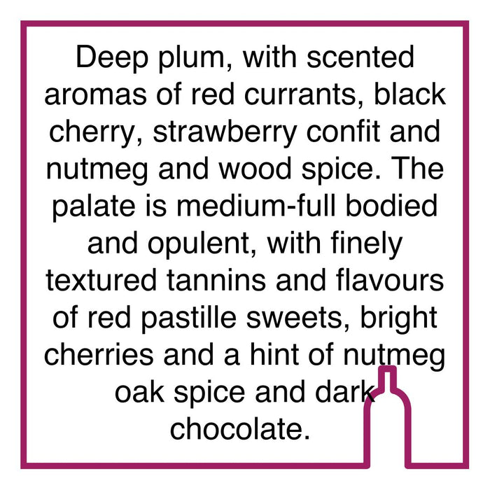 Case of Kanonkop Kadette Pinotage