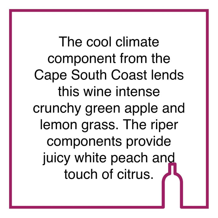 Case of Bruce Jack Lifestyle Sauvignon Blanc