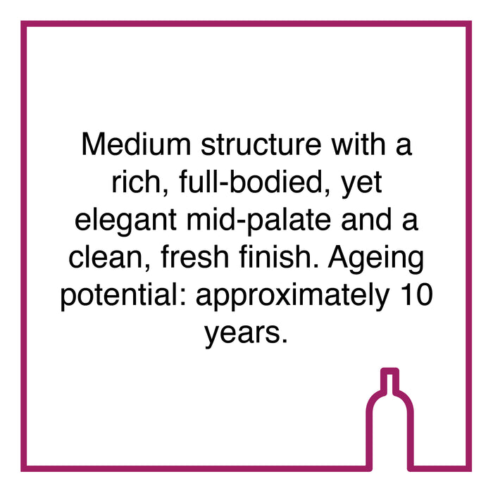 Case of Meinert Printer's Ink Pinotage