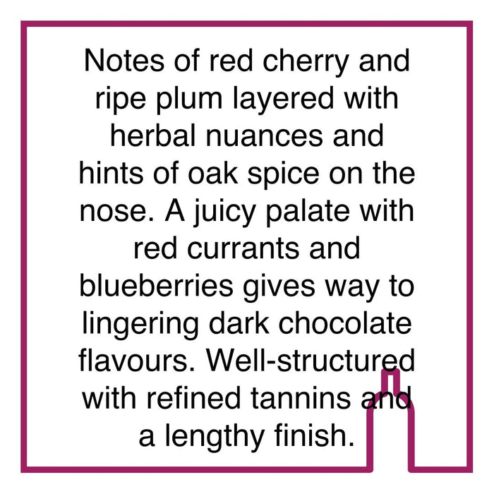 Case of Rickety Bridge Merlot