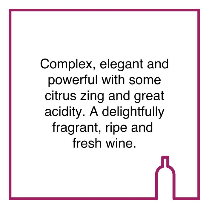 Case of Morgenster Reserve White Blend