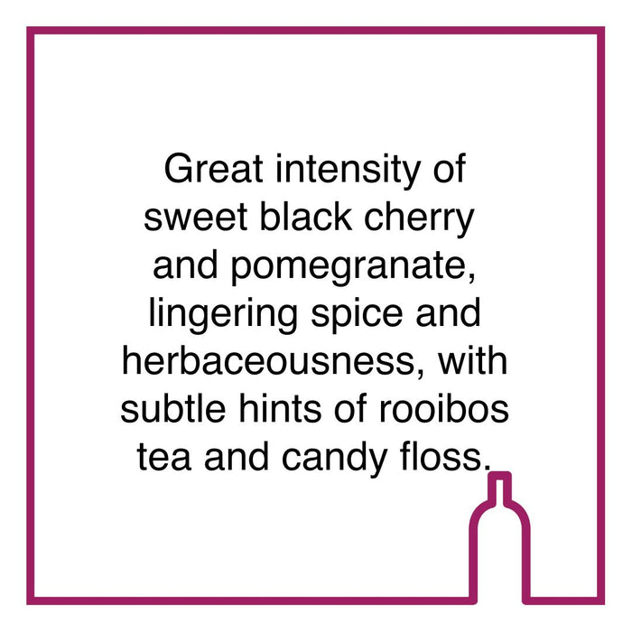 Case of Morgenster Sangiovese Rose