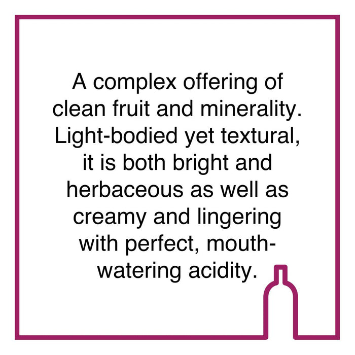 Case of Morgenster Vermentino