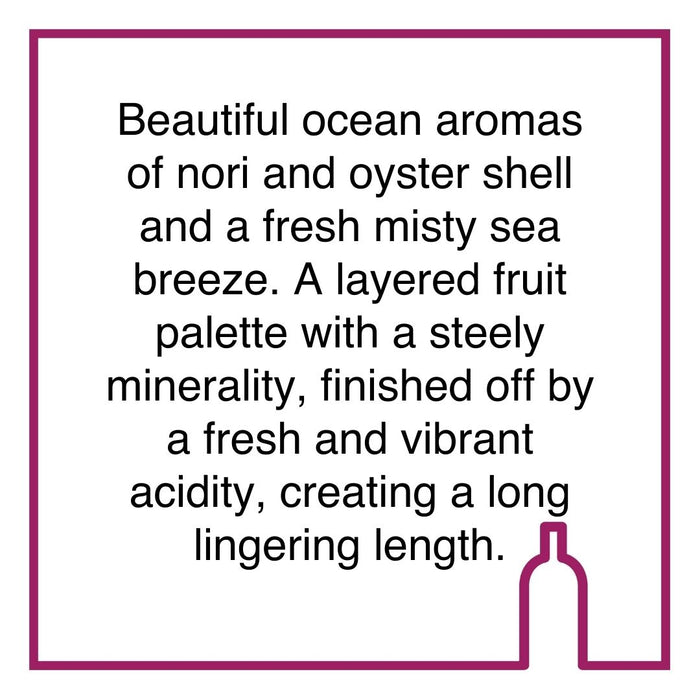 Case of Cape Point Vineyards Noordhoek Sauvignon Blanc