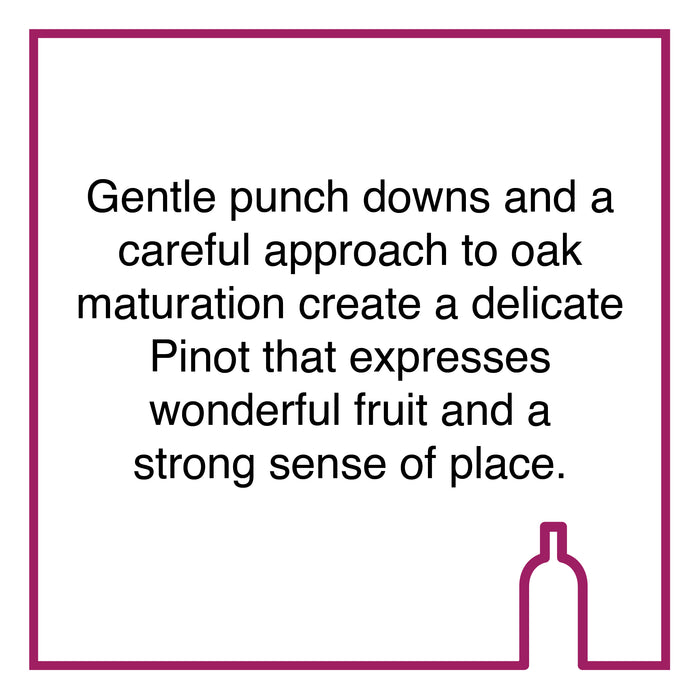 Case of Oak Valley Groenlandberg Pinot Noir