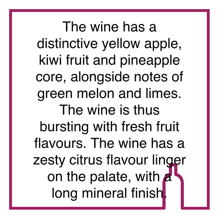 Case of Raats Family Wines Original Chenin Blanc