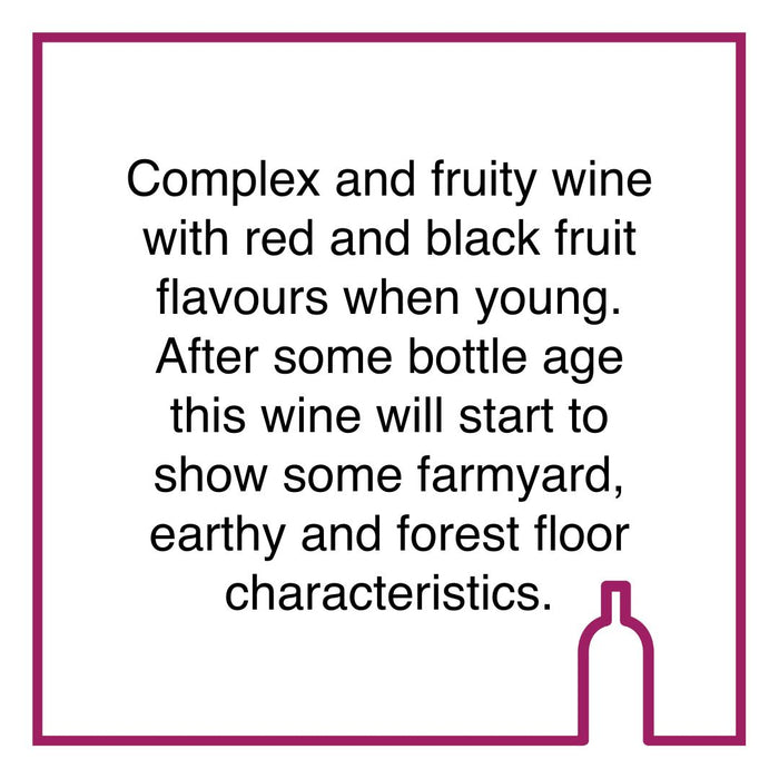Case of Kanonkop Pinotage Vintage