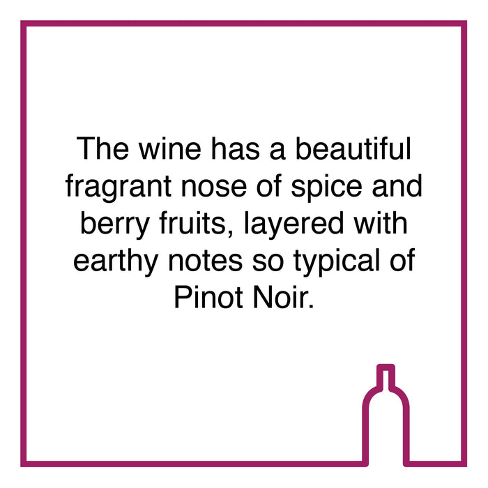 Case of South Hill Pinot Noir