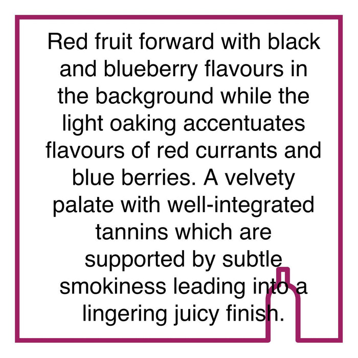 Case of Rickety Bridge Pinotage