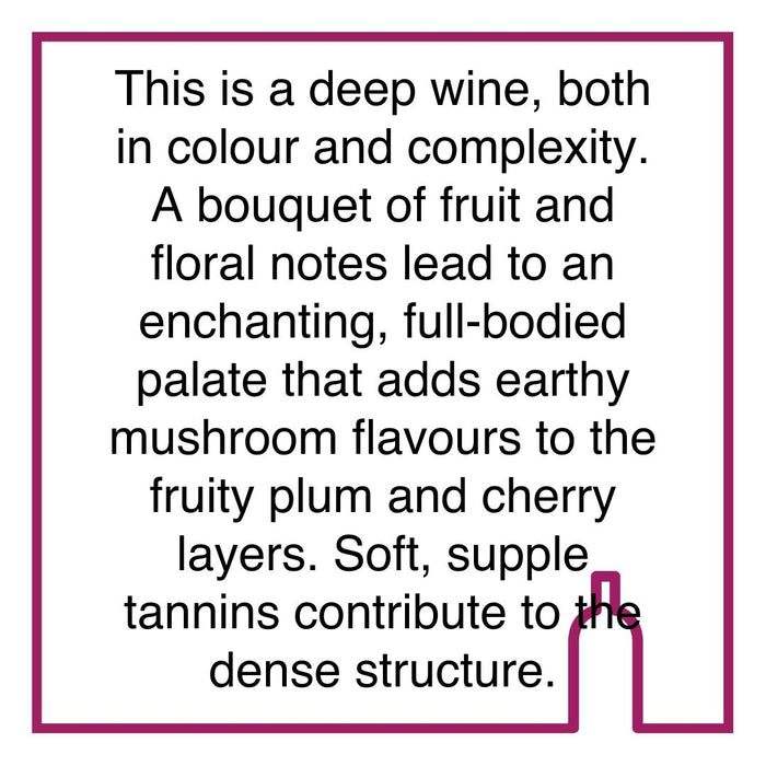 Case of Creation Pinot Noir