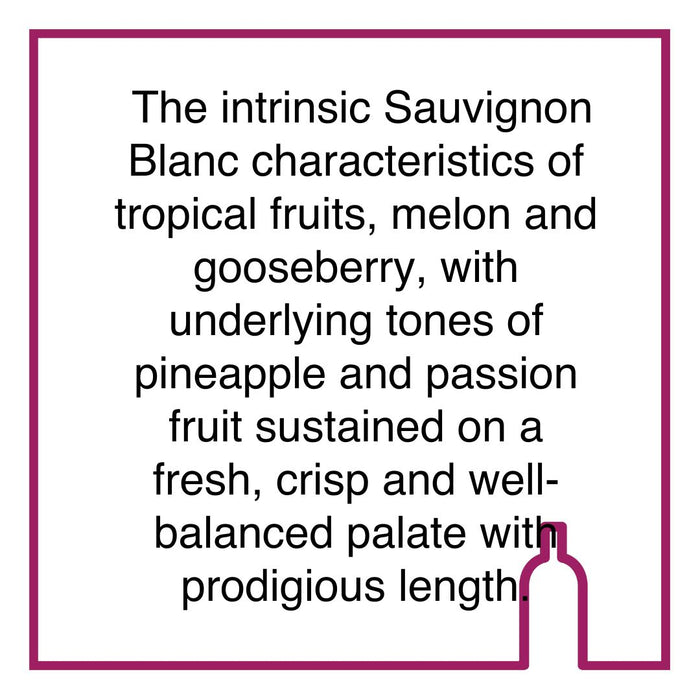 Case of Rustenberg Sauvignon Blanc