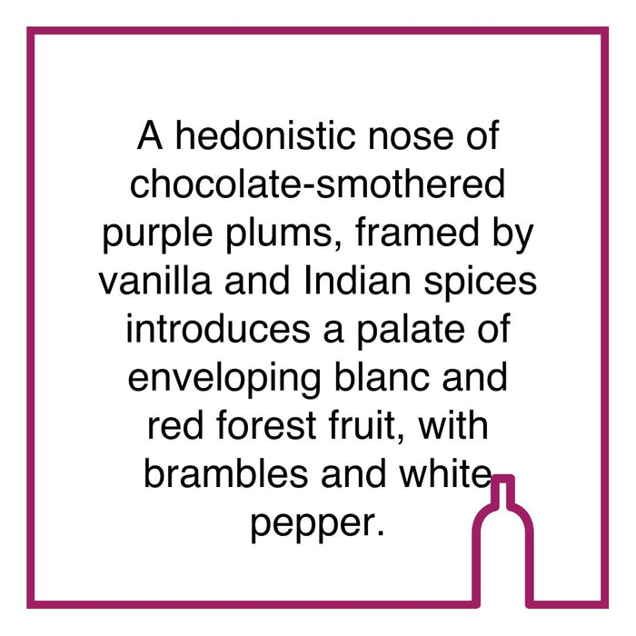 Case of Bruce Jack Stream of Consciousness