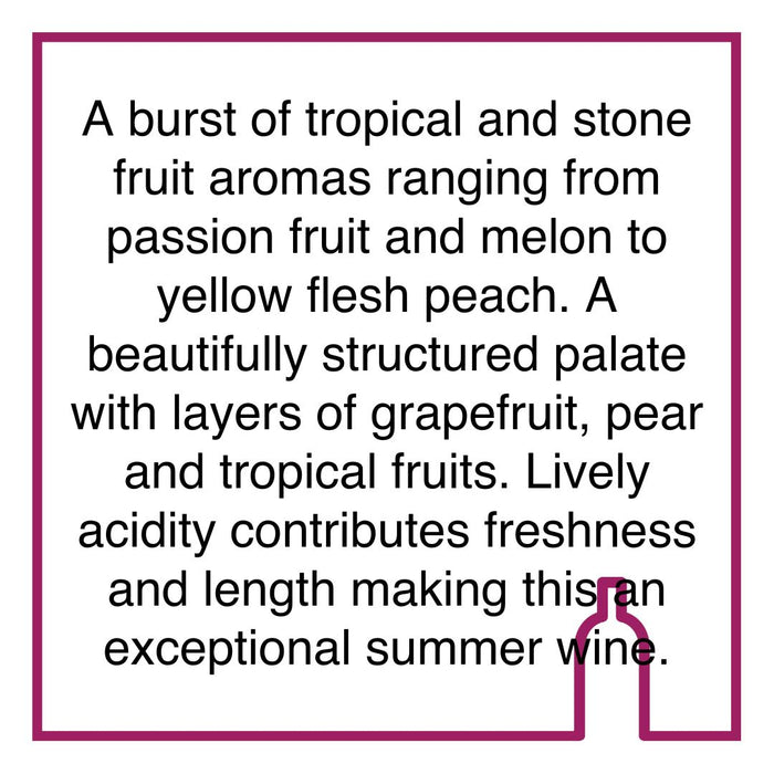 Case of Simonsig Chenin Blanc