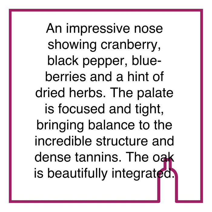 Case of Saxenburg Shiraz Select