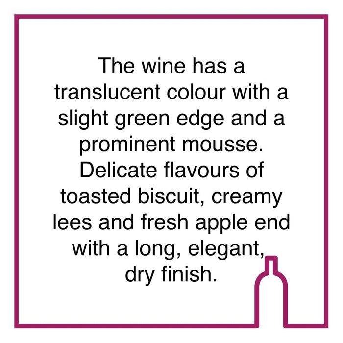 Case of Saronsberg Methode Cap Classique