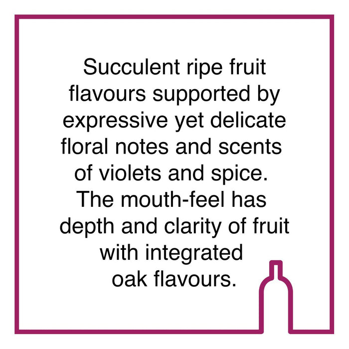 Case of Saronsberg Shiraz