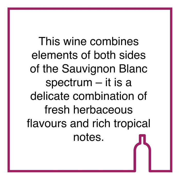 Case of Lievland Sauvignon Blanc